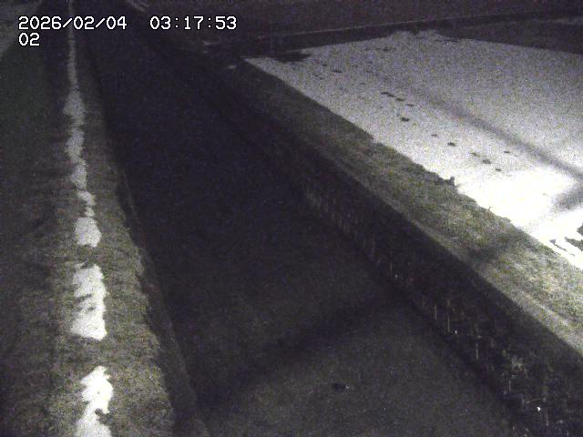 取得できませんでした