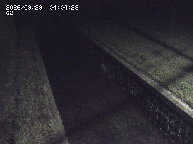 取得できませんでした