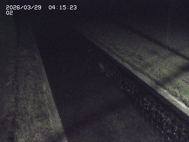 取得できませんでした