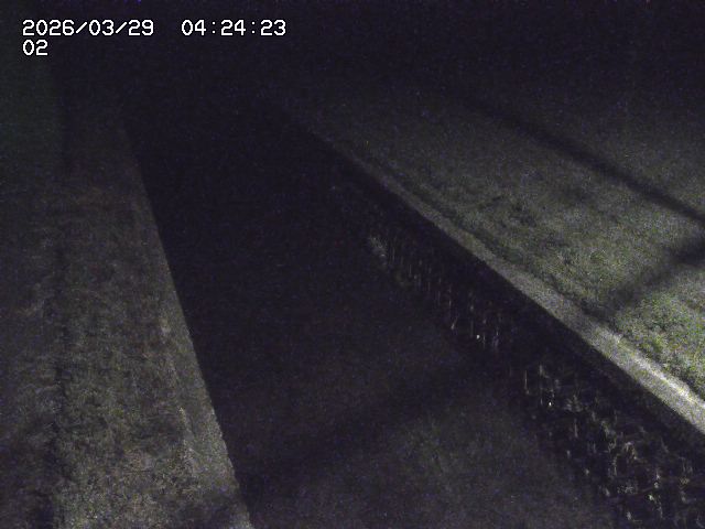 取得できませんでした