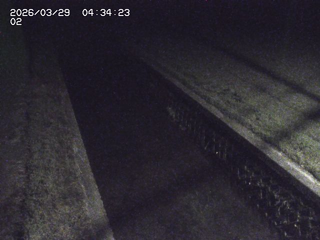 取得できませんでした