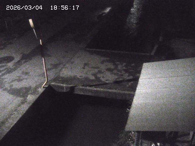 取得できませんでした