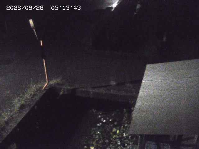 取得できませんでした