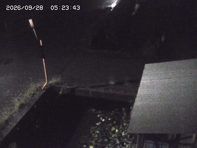 取得できませんでした