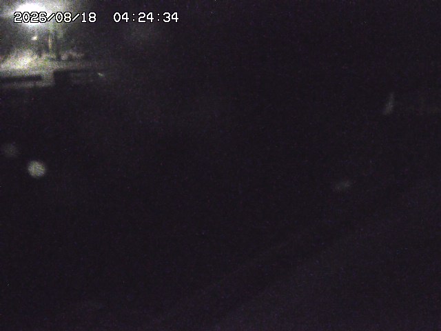 取得できませんでした