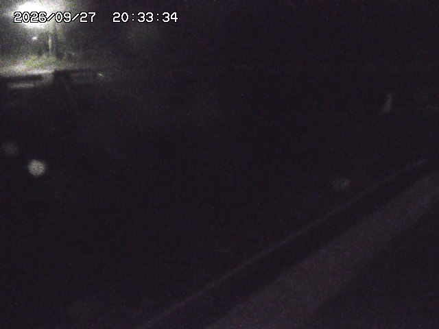 取得できませんでした