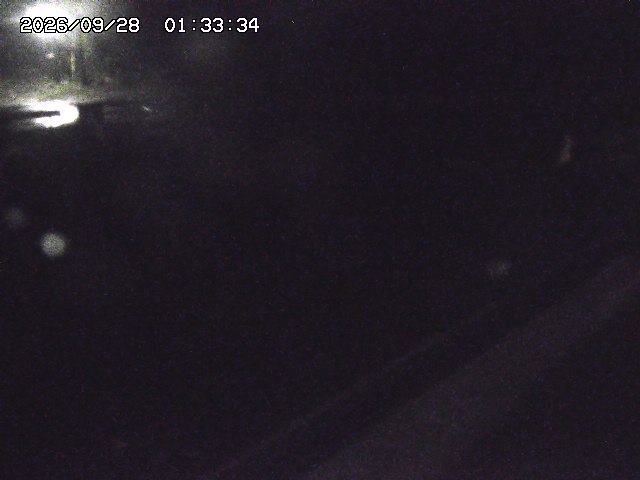 取得できませんでした