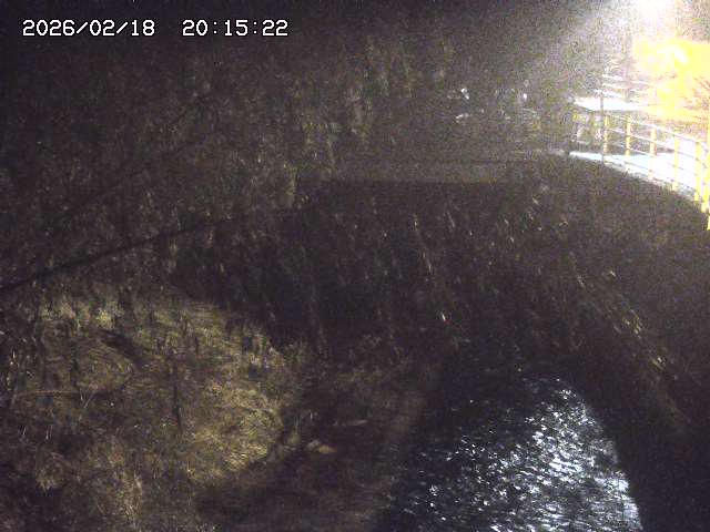 取得できませんでした