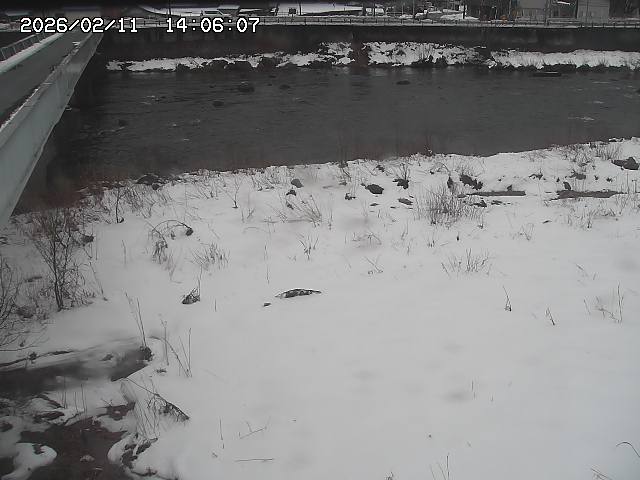 取得できませんでした