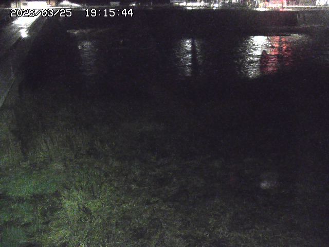 取得できませんでした