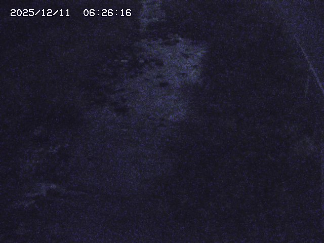 取得できませんでした