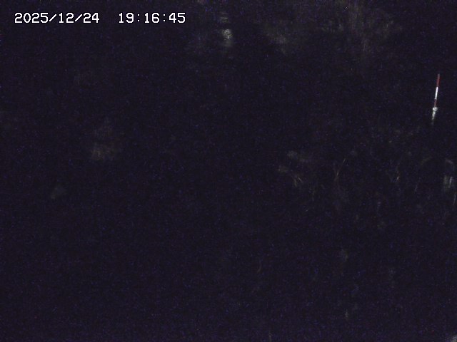 取得できませんでした