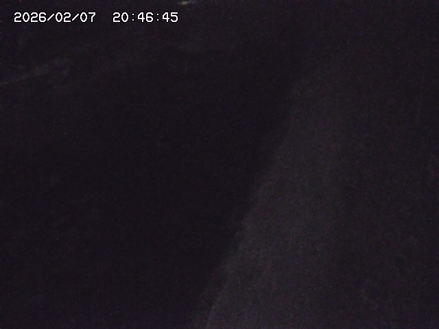 取得できませんでした