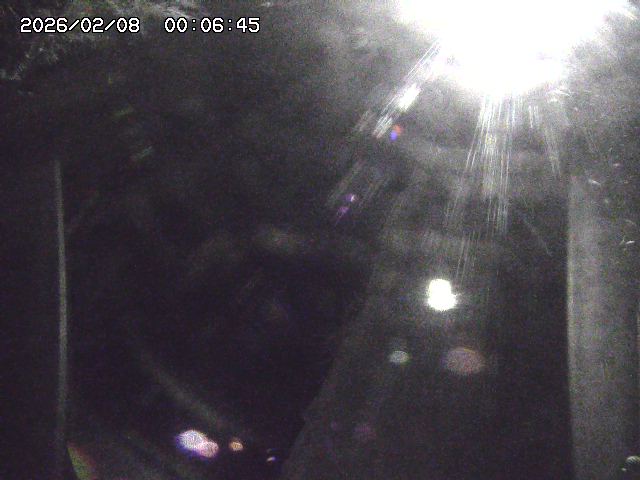 取得できませんでした