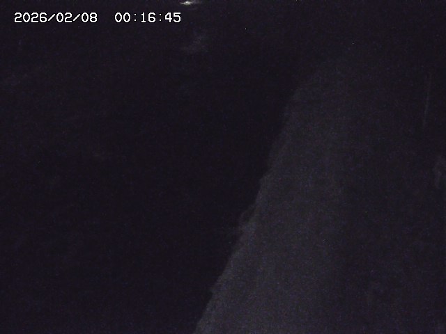 取得できませんでした