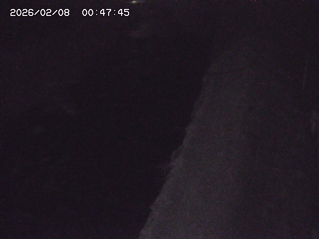 取得できませんでした