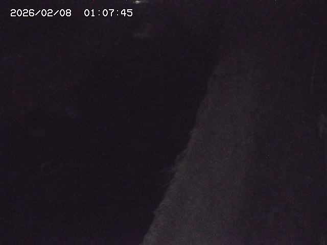 取得できませんでした