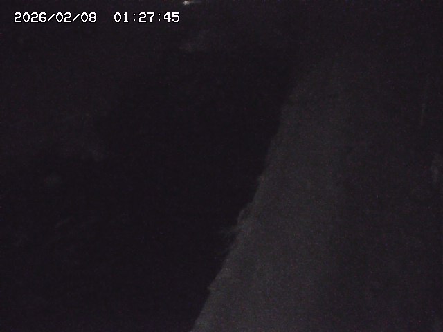 取得できませんでした