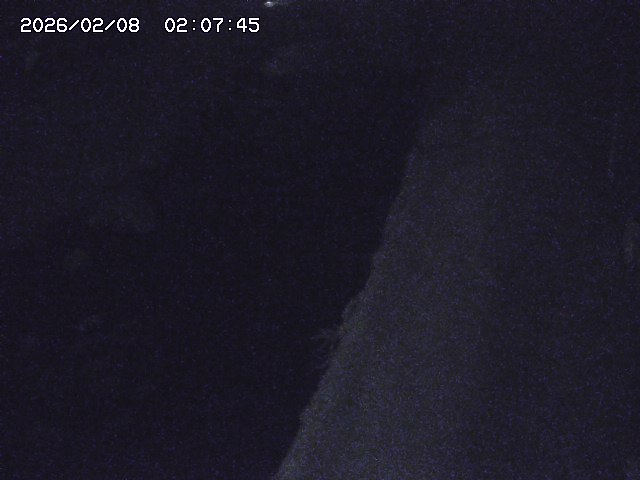 取得できませんでした