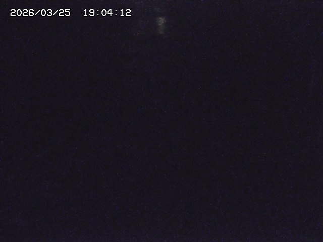 取得できませんでした