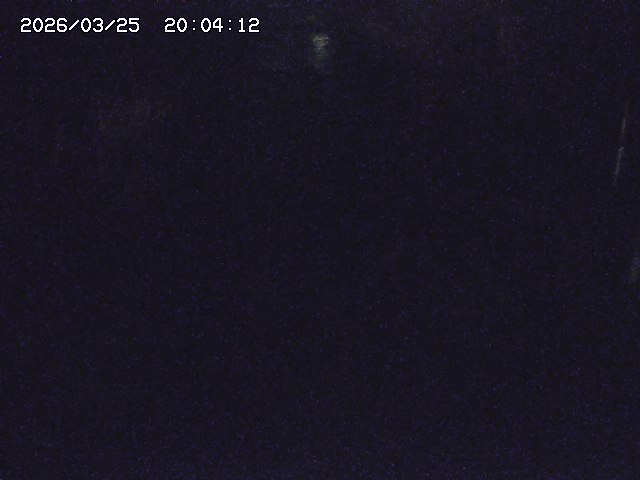 取得できませんでした