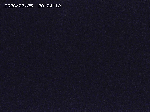 取得できませんでした