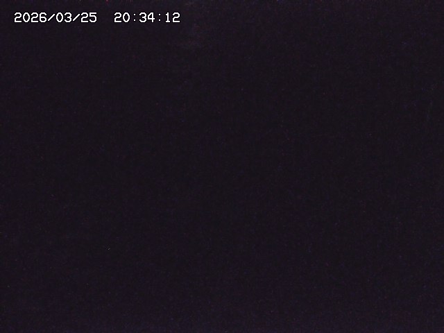 取得できませんでした