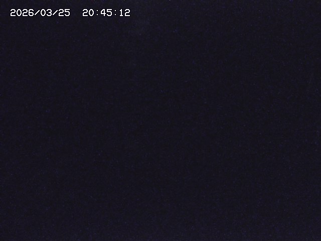 取得できませんでした