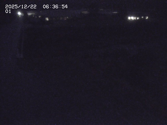 取得できませんでした