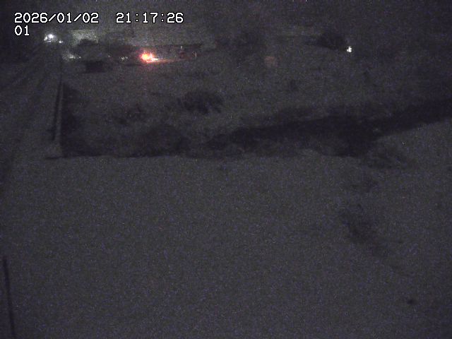 取得できませんでした