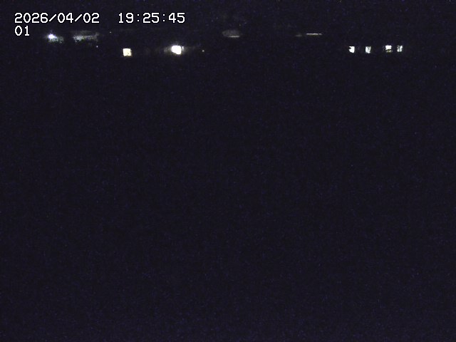 取得できませんでした