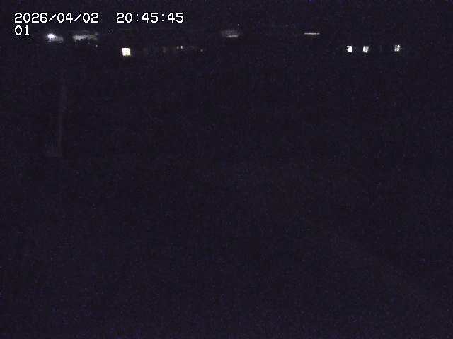 取得できませんでした