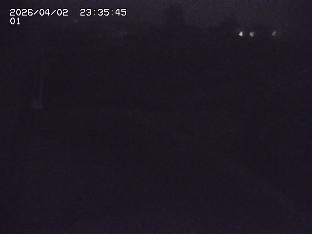 取得できませんでした