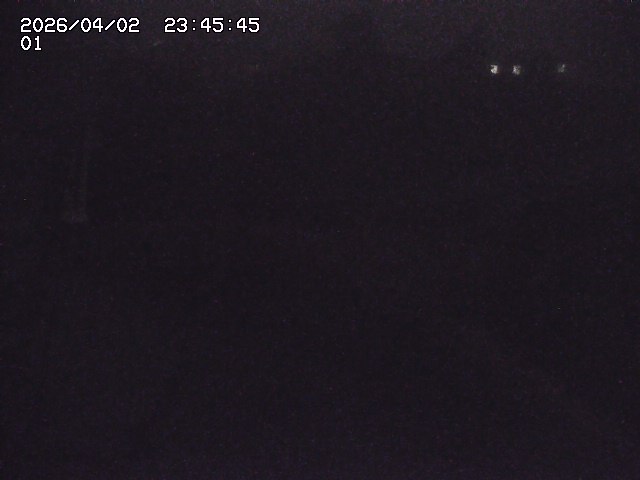 取得できませんでした