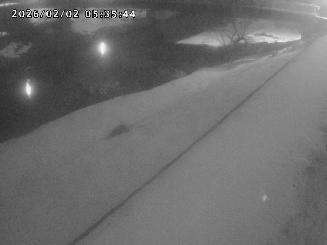 取得できませんでした