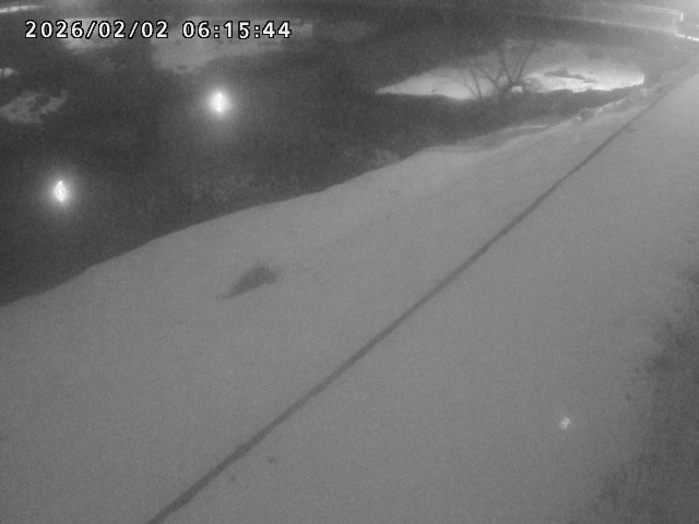 取得できませんでした