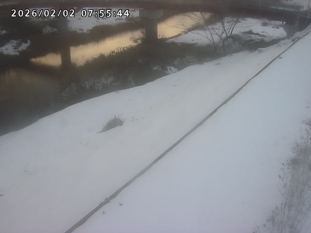 取得できませんでした