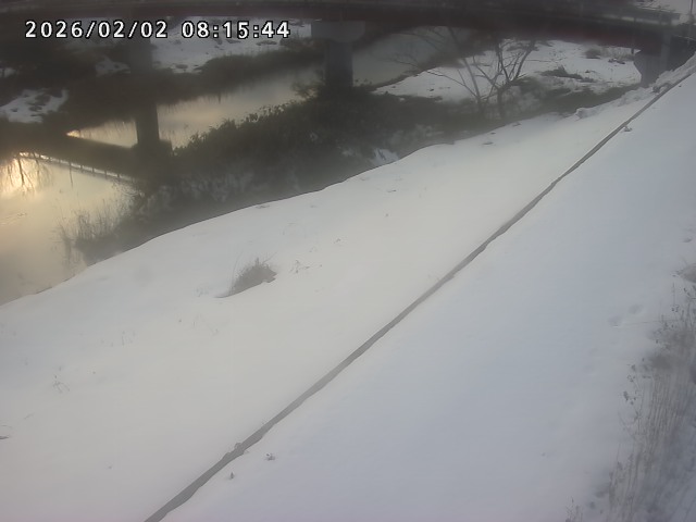 取得できませんでした