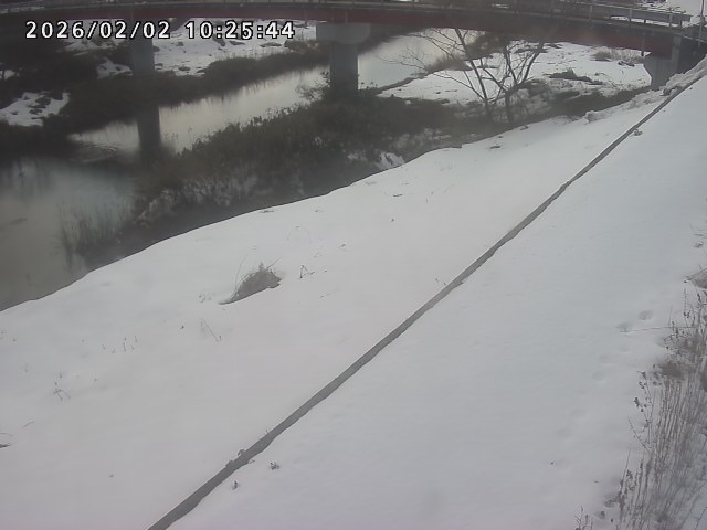 取得できませんでした