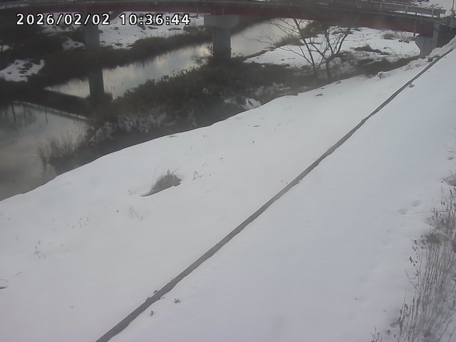 取得できませんでした