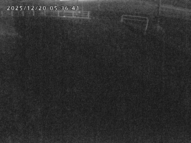 取得できませんでした