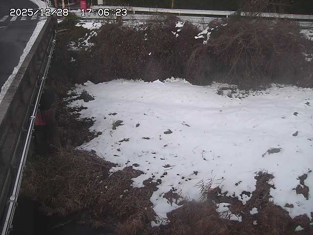 取得できませんでした