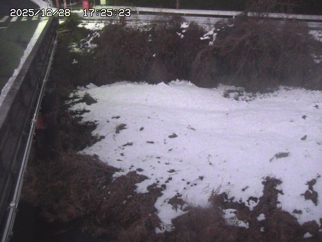 取得できませんでした