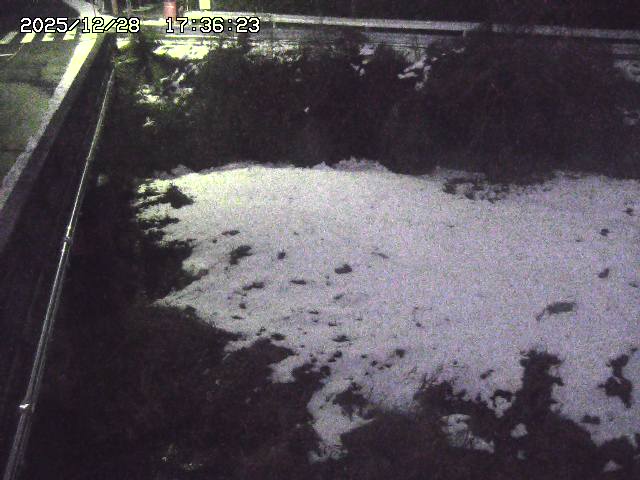 取得できませんでした