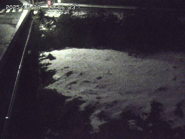 取得できませんでした