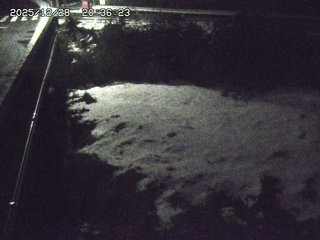 取得できませんでした