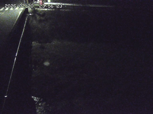 取得できませんでした