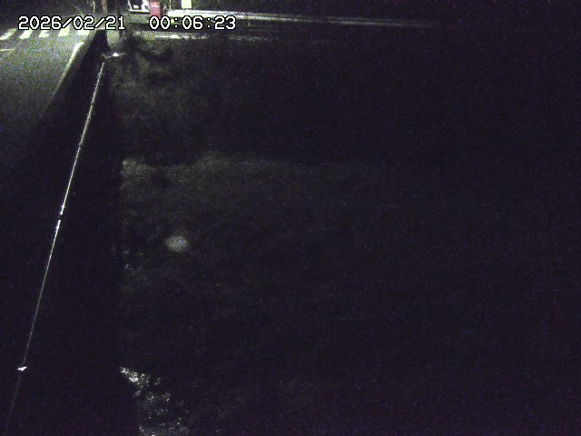 取得できませんでした