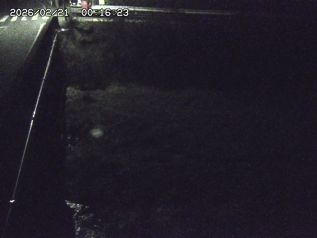 取得できませんでした