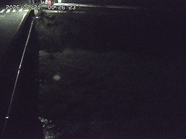 取得できませんでした